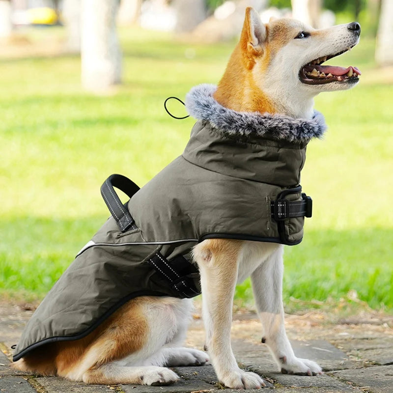 Winter Dog Puppy Jacket Fur Collar Waterproof Warm Coat With Harness for Small Large Dogs