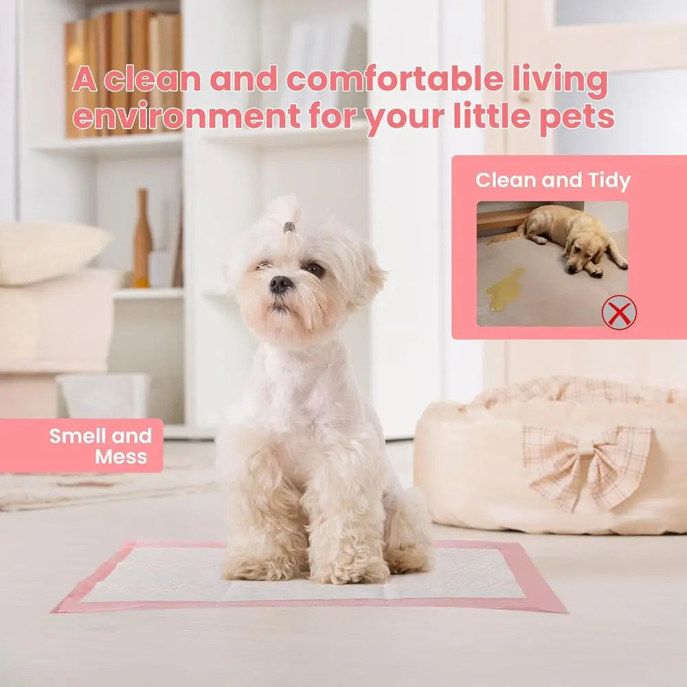 Pet Toilet Training Pads 100 Count Disposable Pee Pads 18 x 13, Ultra Absorbent, Quick Dry and Leak-Proof