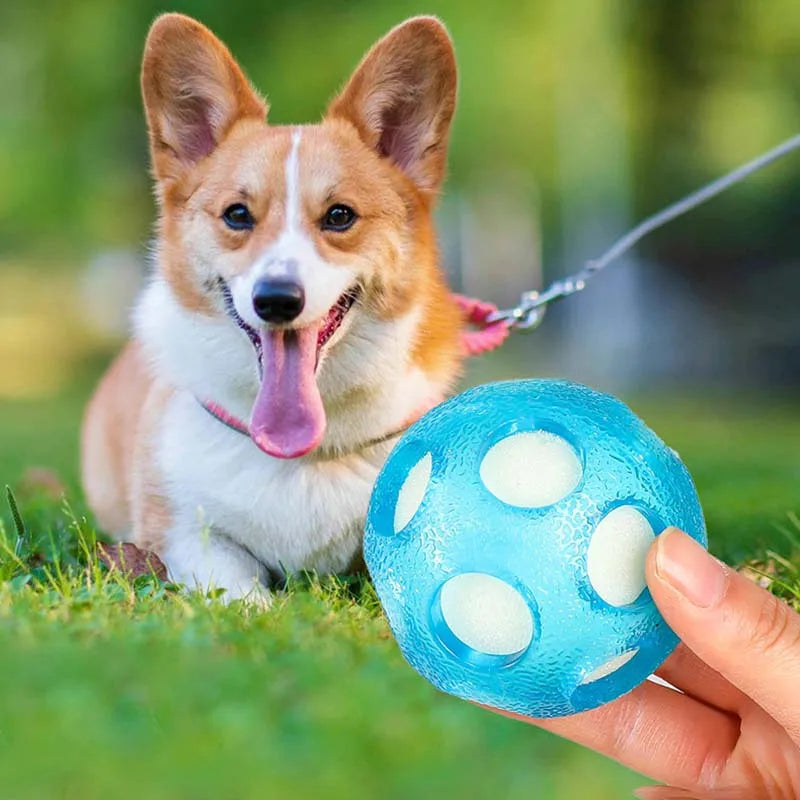 1pc Floating Ocean Ball, Dog Toy Ball, Chase, Water Play, Dog Toy Ball, TPR, Interactive