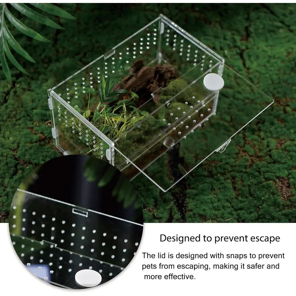 Acrylic Clear Reptile Habitat Enclosure Terrarium with Latch ，Perfect for Amphibians and Invertebrates