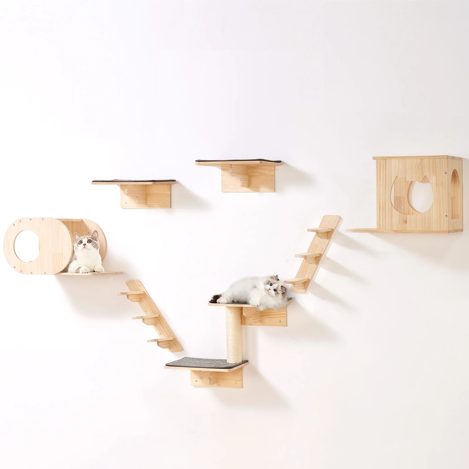 Wall Mounted Cat Wall Shelves and Perches with Jumping Boards Hammocks