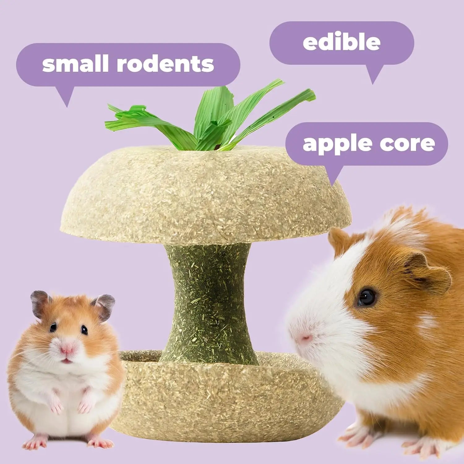 Apple Core Shaped Chew Toy - Natural Small Pet Dental Treat for Guinea Pig, Rabbit, Chinchilla, Rat