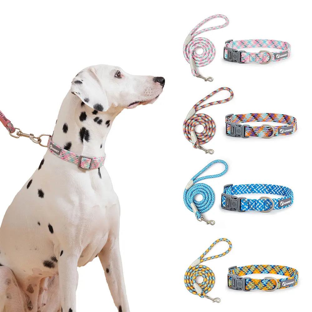 Leashes And Collar Set For Small Medium Large Dogs