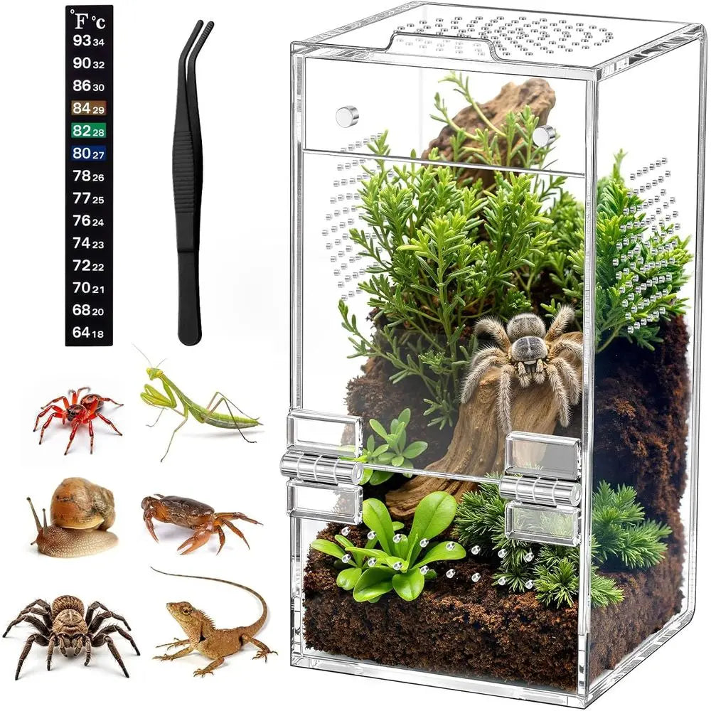 Pre-Assembled, Acrylic Terrarium with Magnetic Door & All-Side Ventilation for small insects