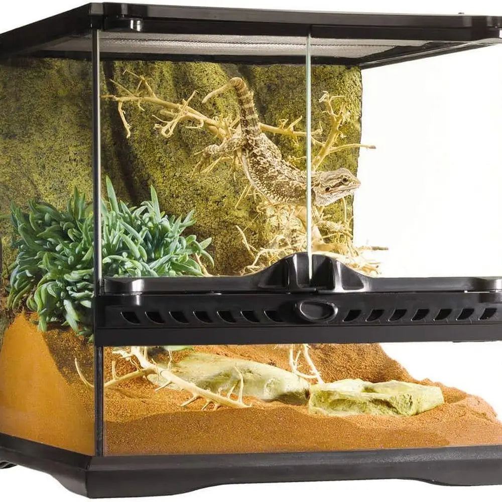 Compact Glass Terrarium for Small Reptiles & Amphibians, 12 x 12 x 12