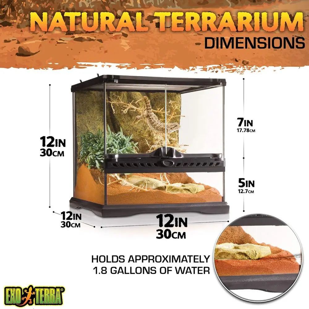 Compact Glass Terrarium for Small Reptiles & Amphibians, 12 x 12 x 12