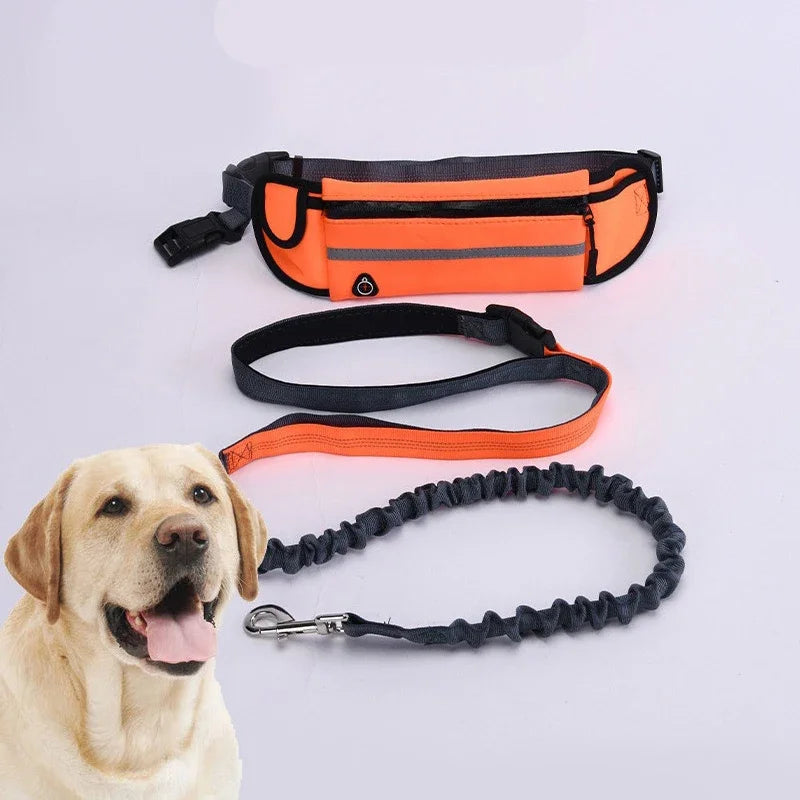 Hands Free Dog Leash for Running Walking Reflective Leash with Waist Bag Retractable Elastic Belt