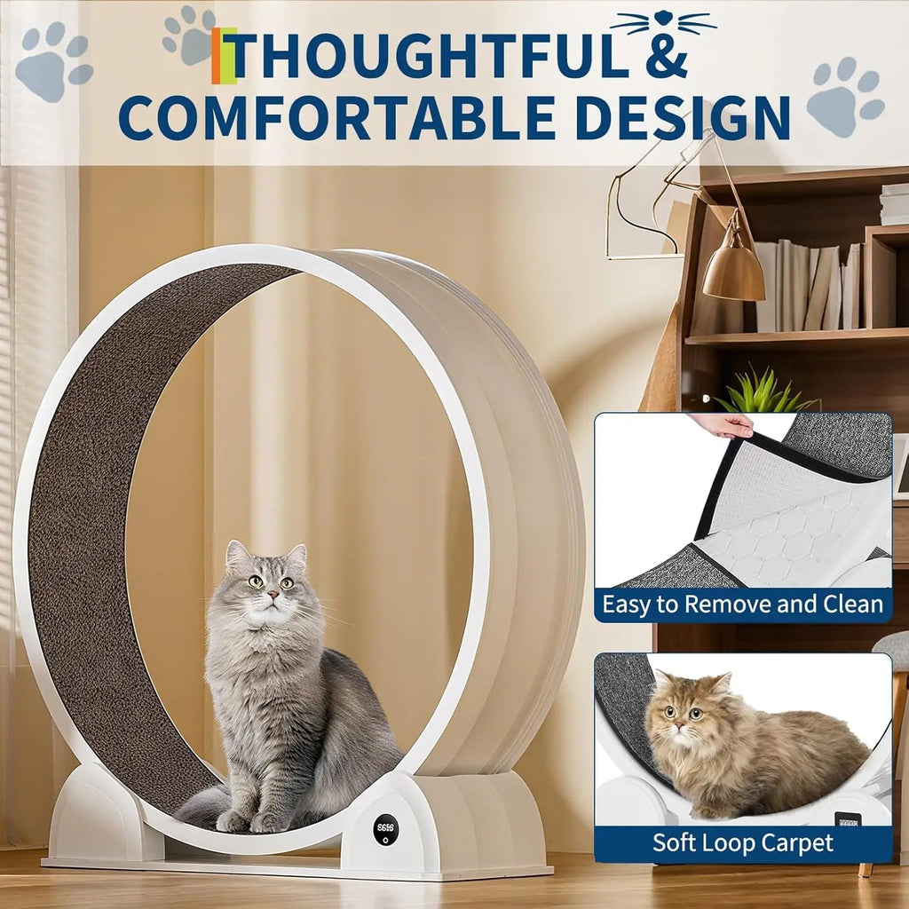 Cat Exercise Wheel for Indoor Cats, Quiet Cats Treadmill with Pedometer, Small Animal Running Wheels
