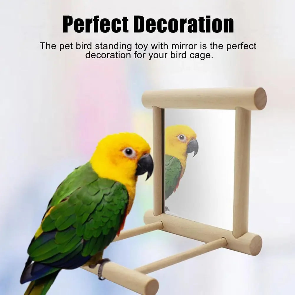 Bird Mirror Wooden Hanging Swing Interactive Play Toy