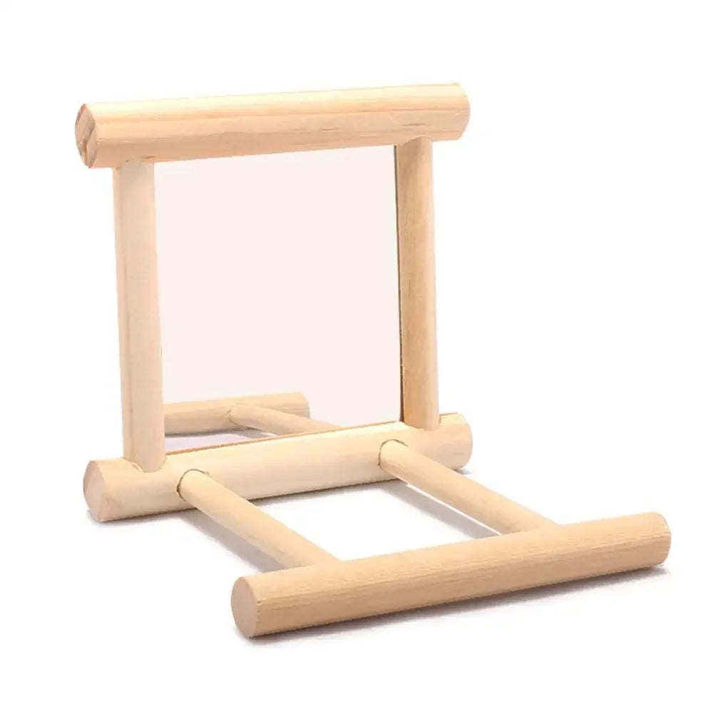 Bird Mirror Wooden Hanging Swing Interactive Play Toy