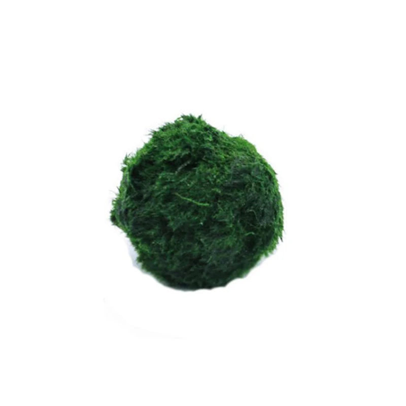3-4cm Marimo Moss Balls Tank Ornament Simulation Green Algae Balls Artificial Plant