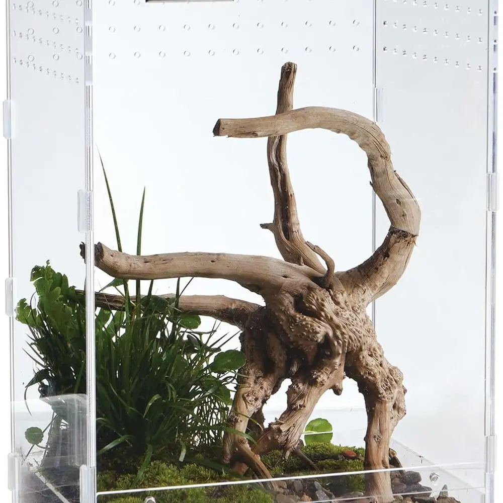 Acrylic Clear Reptile Habitat Enclosure Terrarium with Latch ，Perfect for Amphibians and Invertebrates