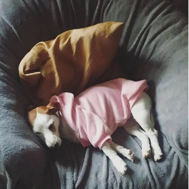 Dog Hoodies Wind Warm Coat for Small Large Dogs