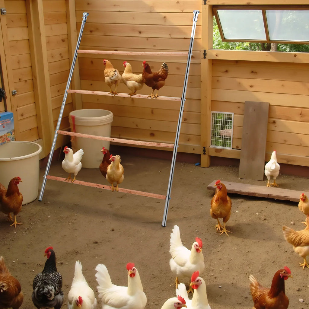 Outdoor Chicken Perch - Multi-Tiered Tower for Chickens, Round Design for Safety