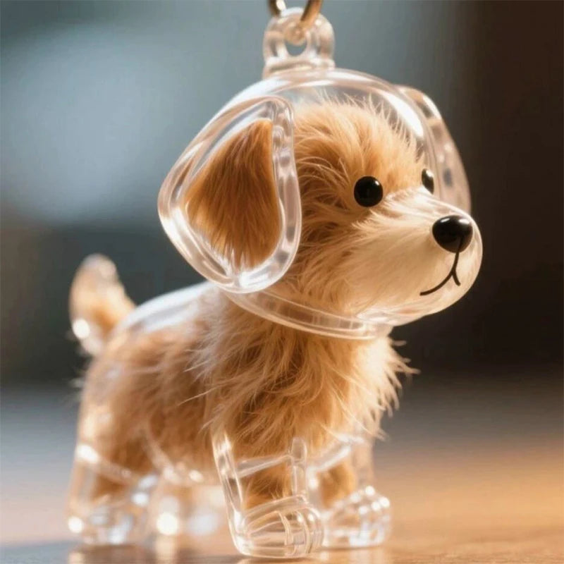 Clear Hair Memorial Keepsake Capsule Pet's Dog Fur Container Pendant Keychain