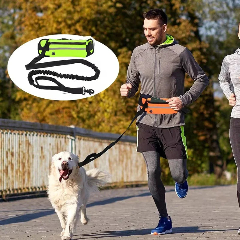 Hands Free Dog Leash for Running Walking Reflective Leash with Waist Bag Retractable Elastic Belt