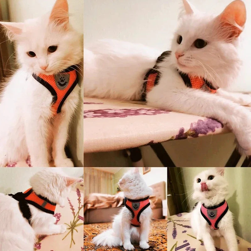 Cat Dog Harness Vest Walking Lead Leash Polyester Adjustable Mesh For Small Medium Pet