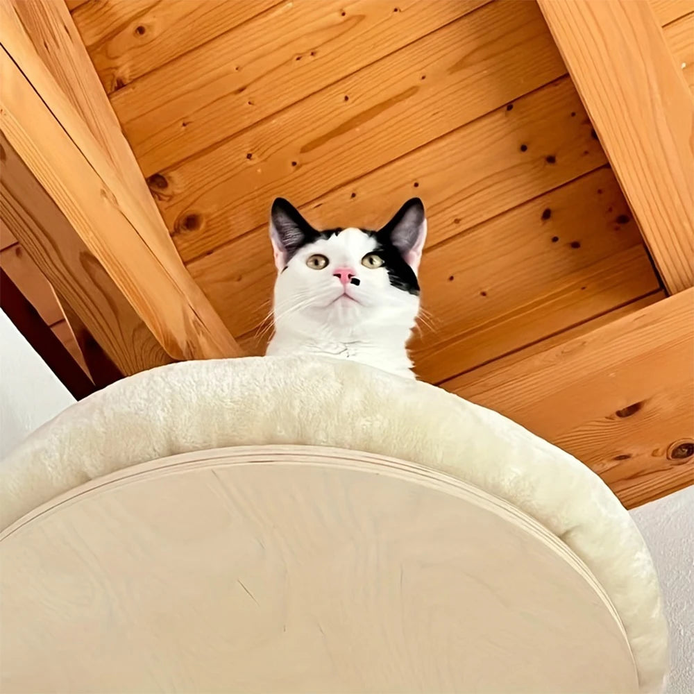 Indoor Cat Wall Mounted Solid Wooden Furniture Climbing Ladder Hammock with Scratching Post for Activity