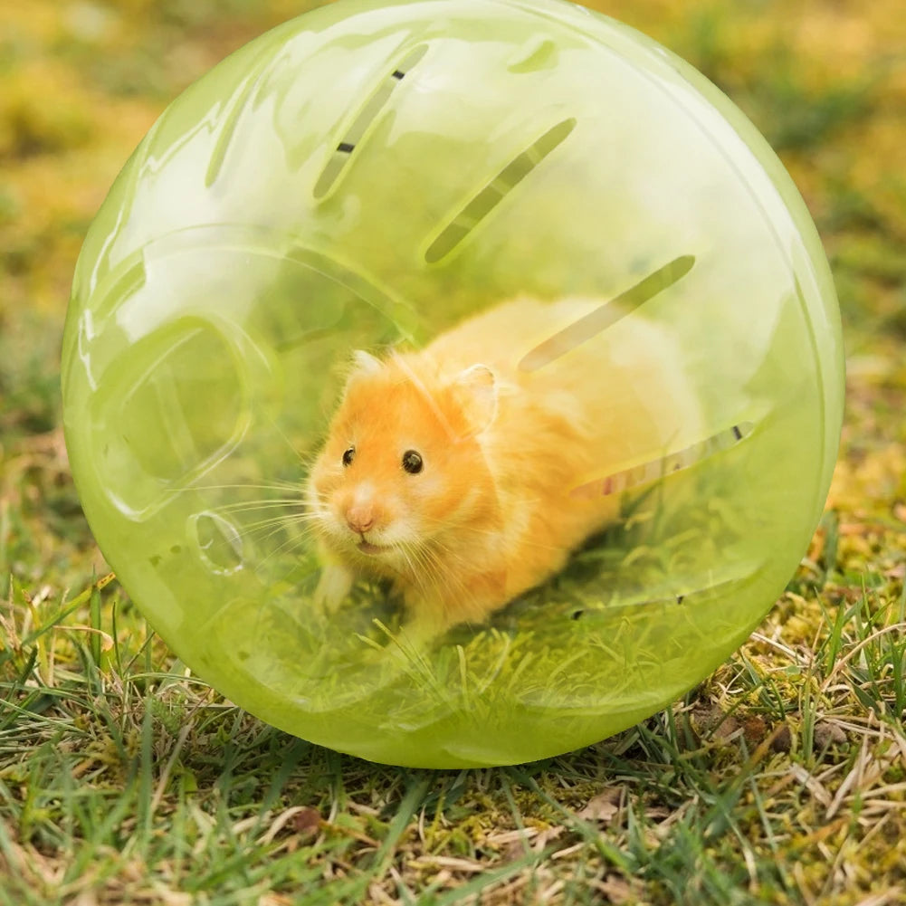 Pet Fitness Running Ball Plastic Solid Grounder Rodent Mini Jogging Ball