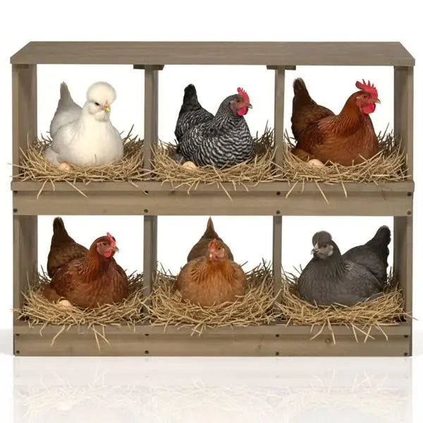 Nesting Boxes for Chickens, Wooden, 6 Compartments