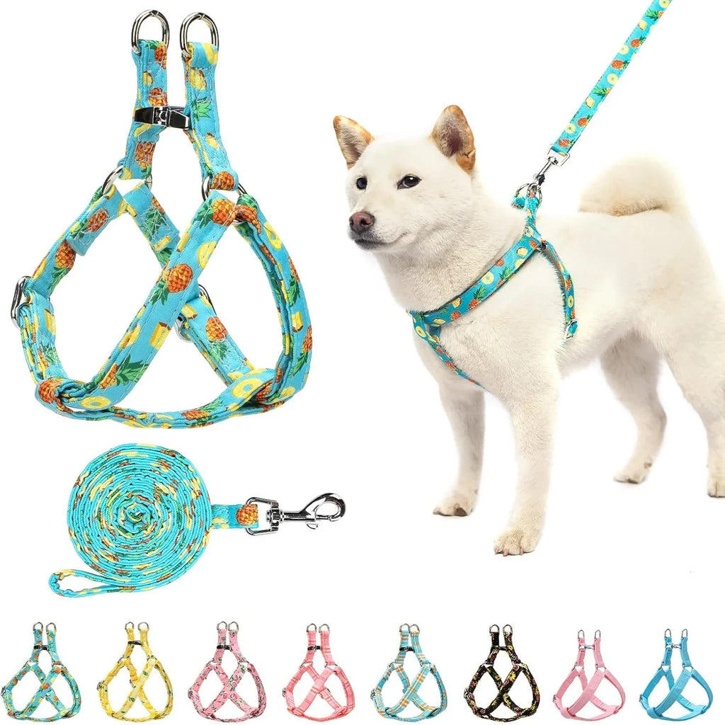 Medium Adjustable Heavy Duty No Pull Vest Harness and Leash Set