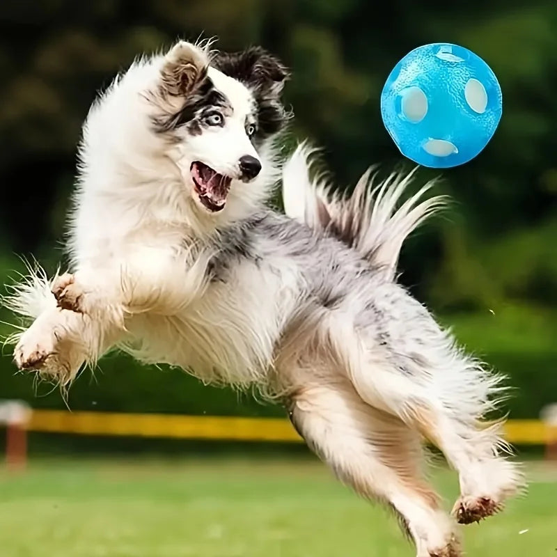 1pc Floating Ocean Ball, Dog Toy Ball, Chase, Water Play, Dog Toy Ball, TPR, Interactive