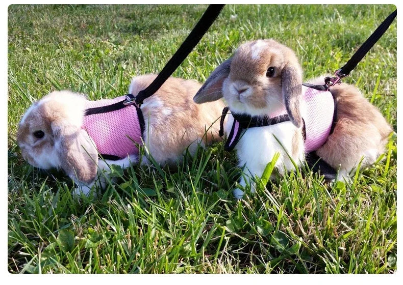Breathable Stylish Vest Adjustable Soft Harness And Elastic Leash Set For Rabbits