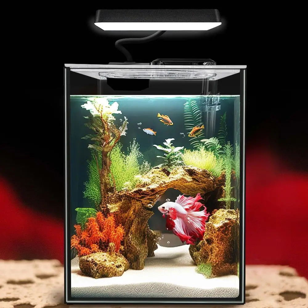 Glass Betta Aquarium Starter Kits 1.5 Gallon Small Fish Tank, with LED Light, Power Filter, Black. 4mm Glass