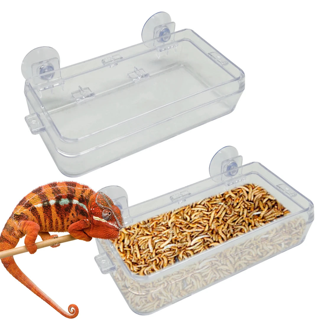 1/2PCS Reptile Feeder Bowl with Suction Cup Anti-Escape Food Dish for Chameleon Iguana Lizard Snakes Reptile Food Water Feeding