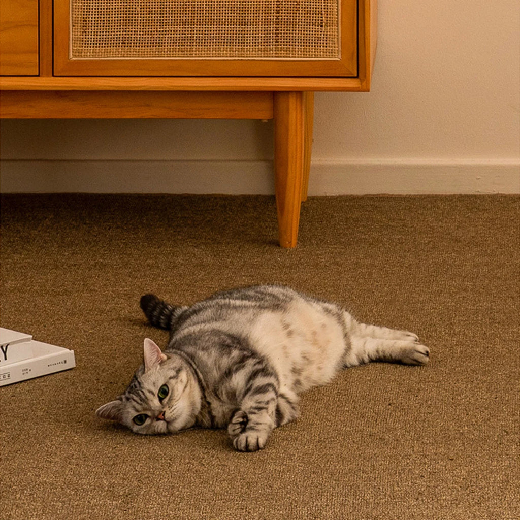 Large Cat Scratching Mat Carpet Non-Slip Pet Bed Mat Sofa Protector Cat Scratcher Anti-Scratch Furniture Protector