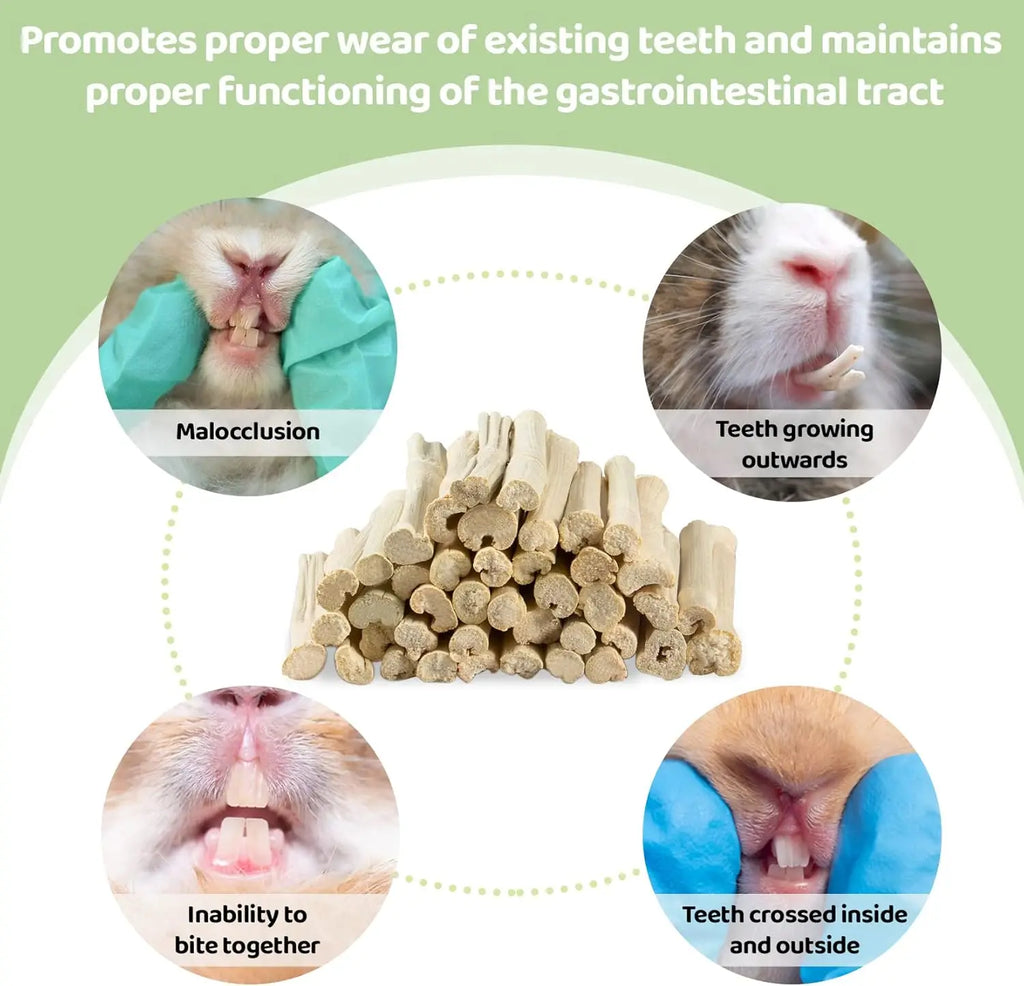 Natural Sweet Bamboo Chew Sticks Small Animal Dental Treats for Rabbits Guinea Pigs Chinchillas