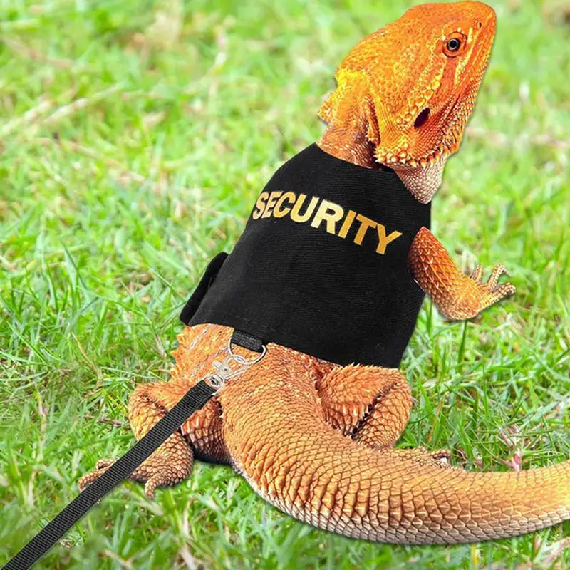 Reptile Lizard Gecko Bearded Dragon Harness and Leash Comfortable