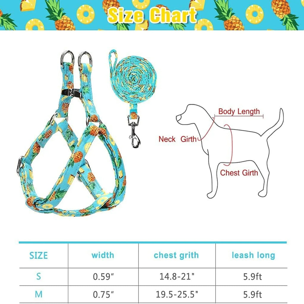 Medium Adjustable Heavy Duty No Pull Vest Harness and Leash Set