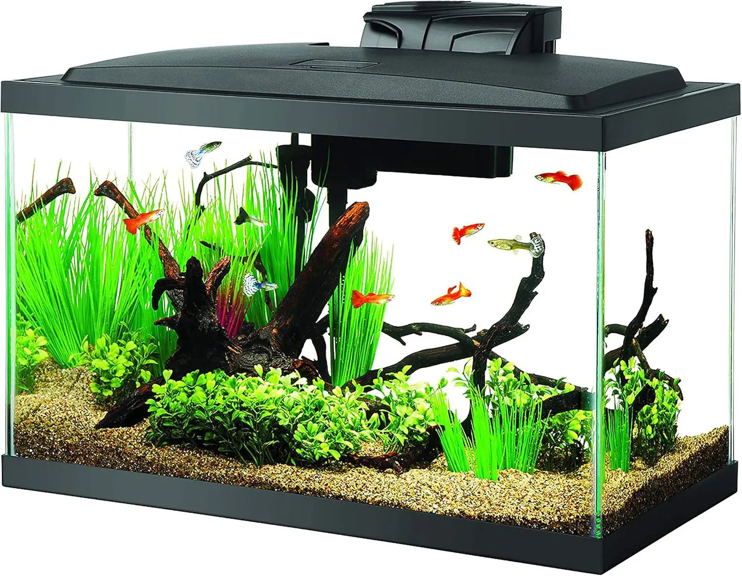 10 Gallon Aquarium Starter Kit with LED Lighting, Complete Fish Tank Setup for Beginners