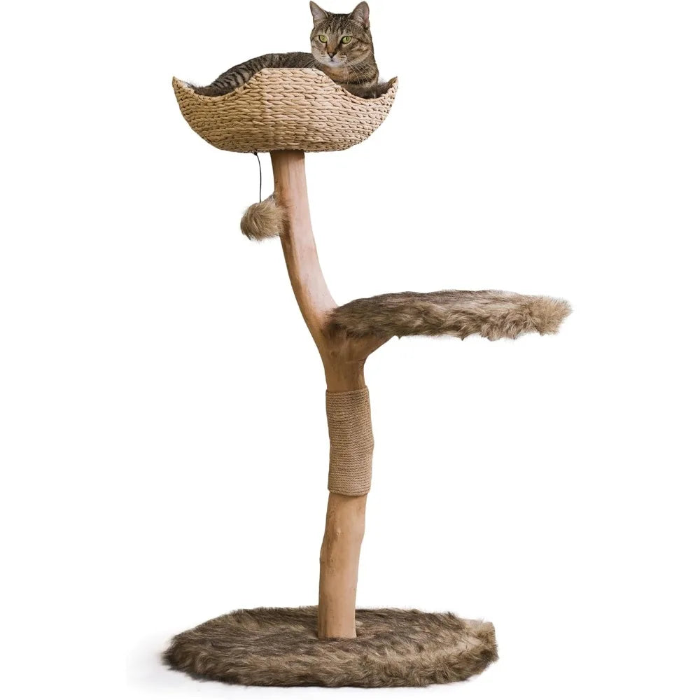Wooden Cat Tree Tower, Modern Single Branch, Cat Climbing Furniture