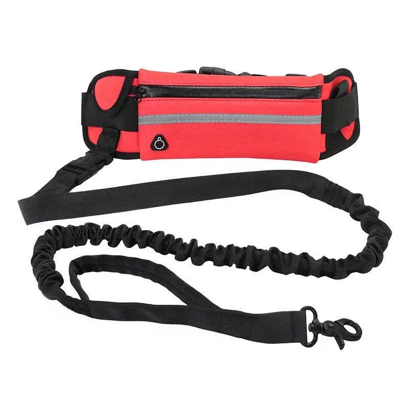 Hands Free Dog Leash for Running Walking Reflective Leash with Waist Bag Retractable Elastic Belt