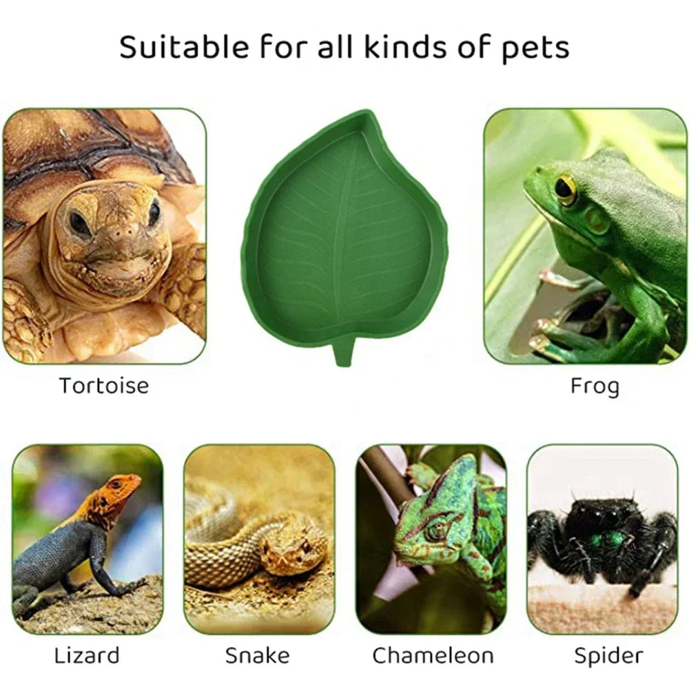 Leaf Shape Reptile Feeder Food Water Bowl For Turtle Lizards Hamsters Snakes Tortoise Gecko Small Pets