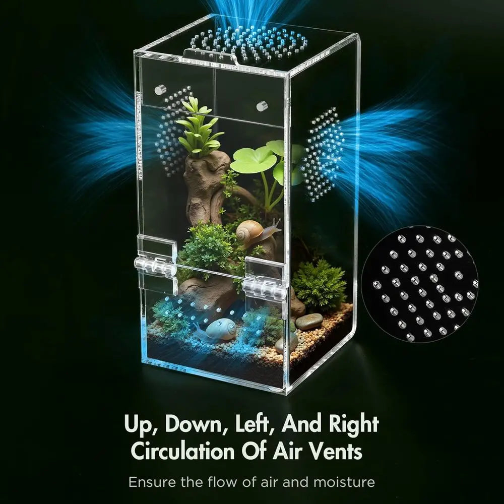 Pre-Assembled, Acrylic Terrarium with Magnetic Door & All-Side Ventilation for small insects