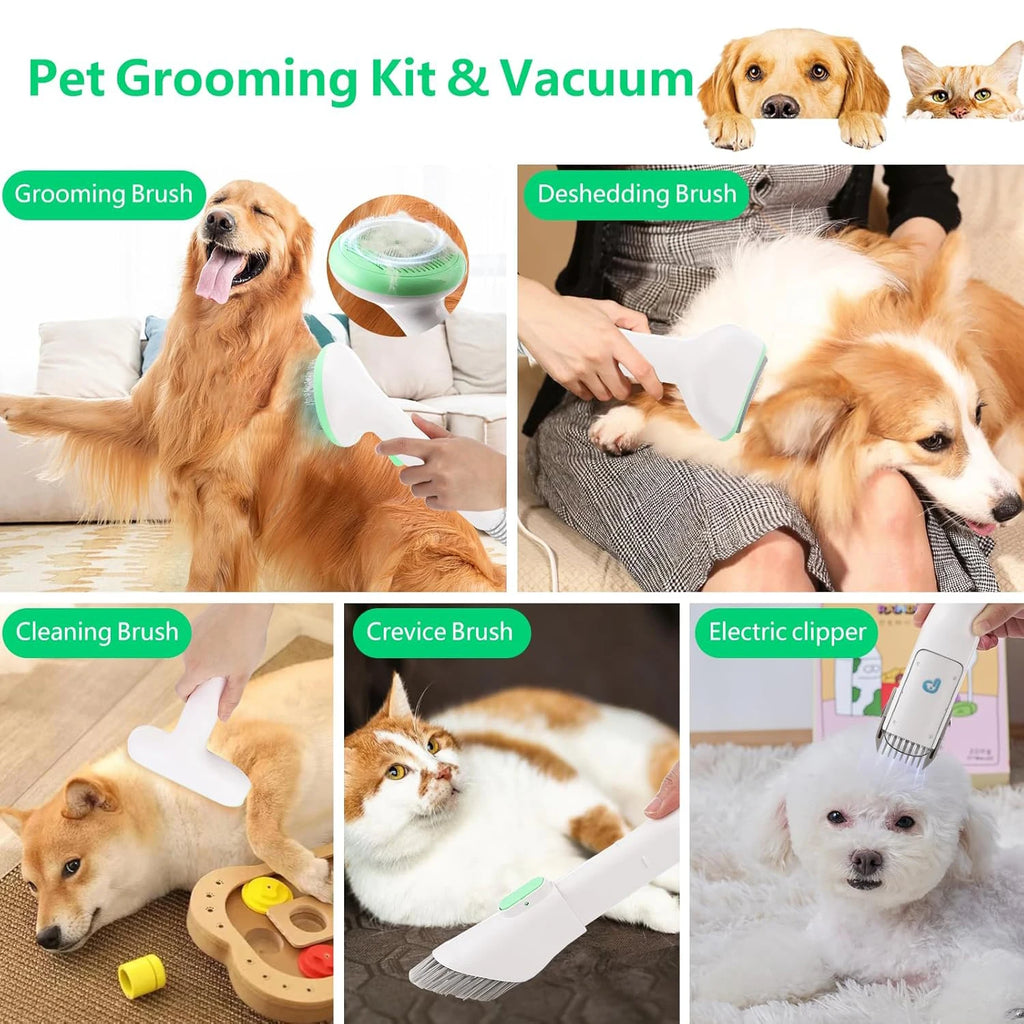 Pet Grooming Kit with 2L Vacuum Suction, Professional Quiet Grooming with 5 Grooming Tools