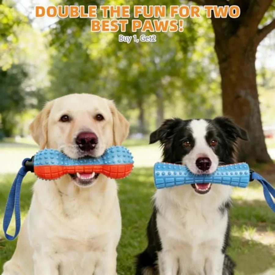 Floating Dog Toys, 2 Pack TPR Water Pool Fetching Toy with Durable Rope for Small Medium Large Dogs, Bright Bumper Interactive