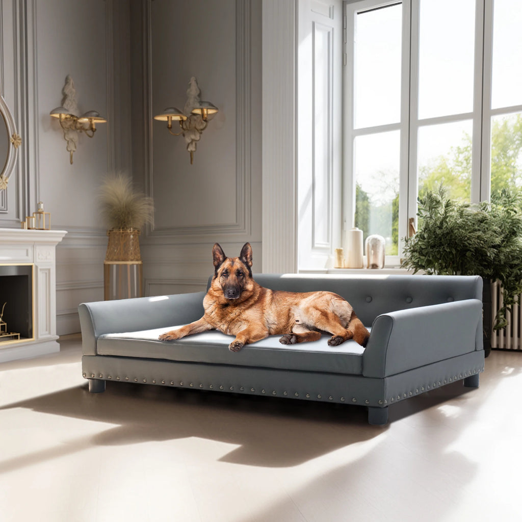 Rectangle Pet Bed for Medium and Large Dogs, Durable Elevated Dog Sofa Bed, Comfortable Dog Couch