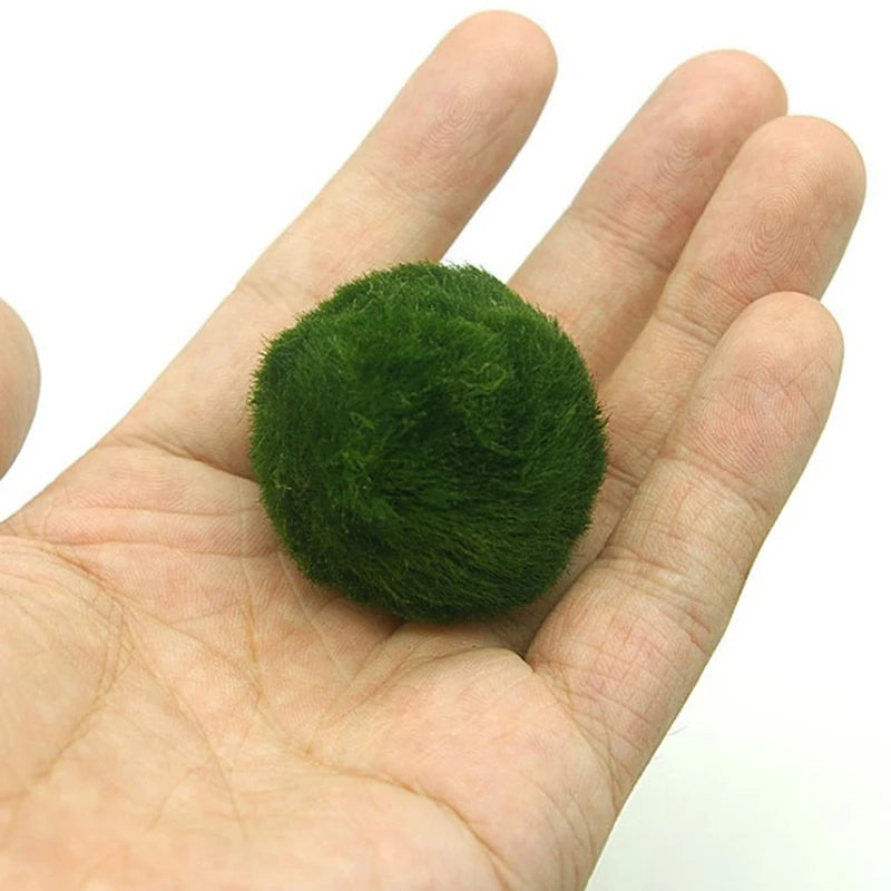3-4cm Marimo Moss Balls Tank Ornament Simulation Green Algae Balls Artificial Plant