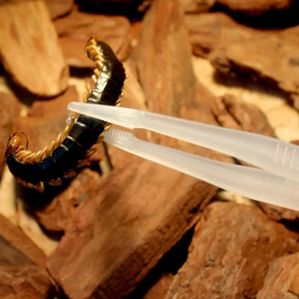 Feeding Tweezers Long Tweezers Feeder Tools For Reptile Anti-Slip And Ergonomic