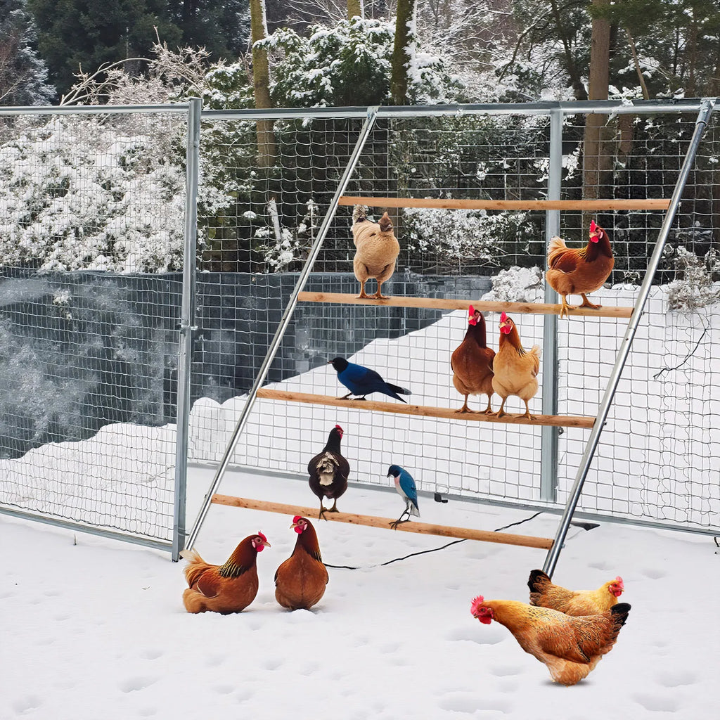Outdoor Chicken Perch - Multi-Tiered Tower for Chickens, Round Design for Safety