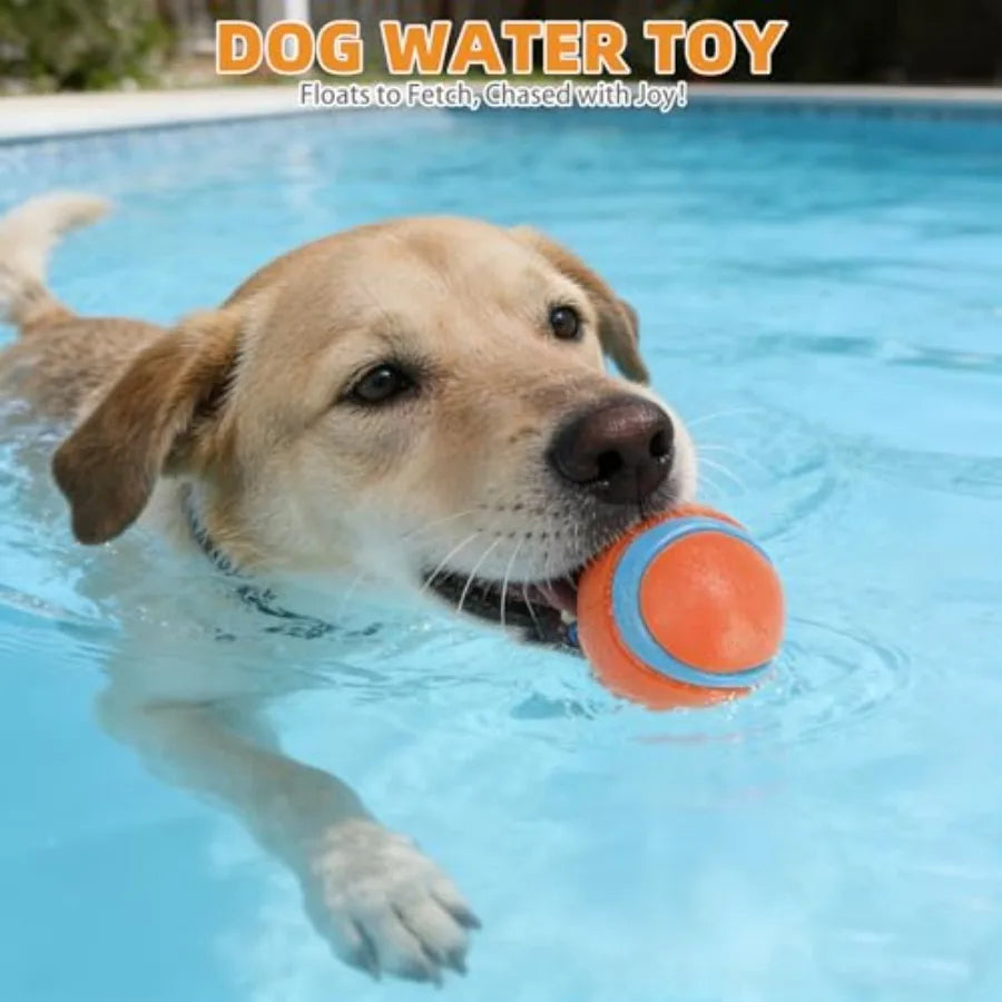 Floating Dog Toys, 3 Pack TPR Water Pool Fetching Toy with Durable Rope for Small Medium Large Dogs, Bright Bumper Interactive