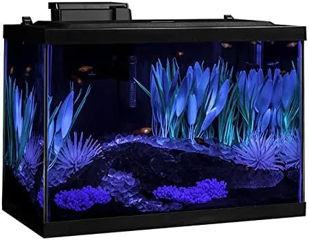 20 Gallon Aquarium Kit with LED Lighting and Decor, Complete Fish Tank Setup