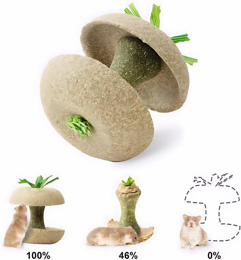 Apple Core Shaped Chew Toy - Natural Small Pet Dental Treat for Guinea Pig, Rabbit, Chinchilla, Rat