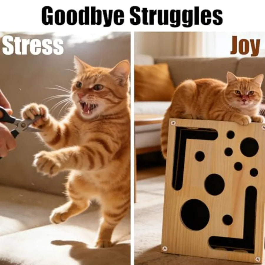 Reinforced Cat Nail File Scratcher Box Enrichment Puzzle Toy for Indoor Cats Sandpaper Claw Care