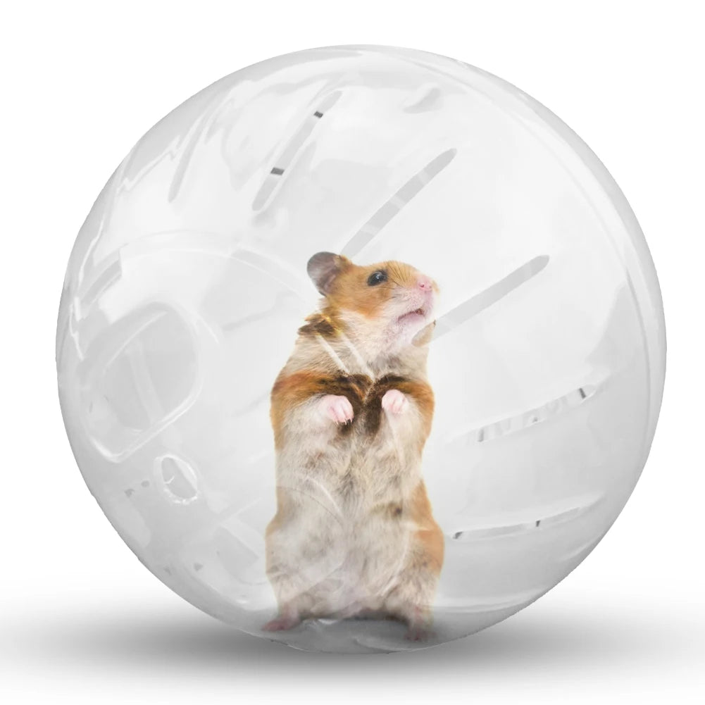 Pet Fitness Running Ball Plastic Solid Grounder Rodent Mini Jogging Ball