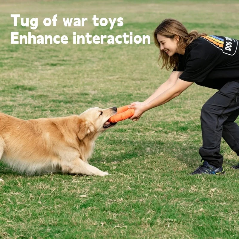 3 in 1 Floating Dog Frisbee Tug Chew Toy Soft Bite Resistant TPR Interactive Outdoor Toy for Pool Beach Summer Fetch Training
